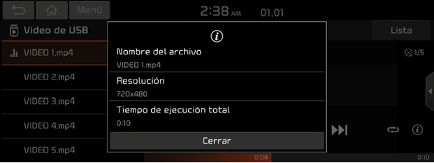 File_information-1_es.png